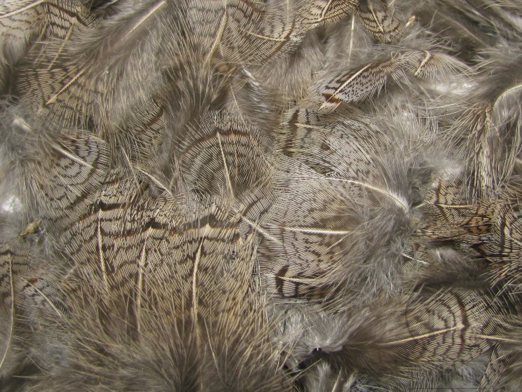 Перья куропатки Gray Partridge Feathers Premium