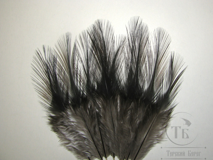 Перья из седла Feathers Coq De Leon Black Nat. 12f. короткие