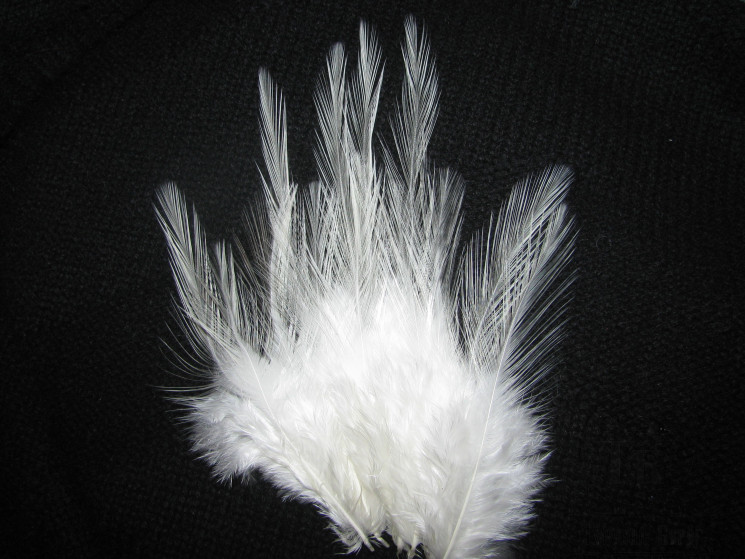 Перья из седла Feathers Coq De Leon White 12f. короткие