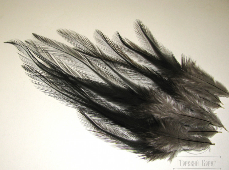 Перья из седла Feathers Coq De Leon Black Nat. 12f. Md. Long разной длины