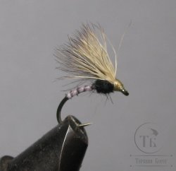 Mуха  Caddis  Bleached Scud Em.  Kumho № 12