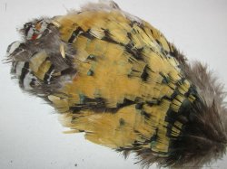 Перья Алмазного Фазана Amherst Rump Yellow Natural