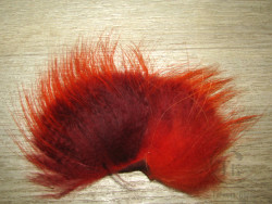Temple dog Tanuki ( пух - Claret , ость - Orange ) XL 