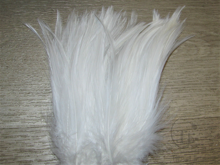 Перо скальпа петуха белое / Strong neck hackle White 3XL CF