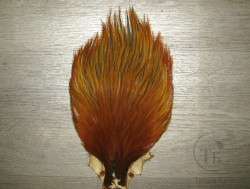 Скальп петуха Cock Cape Premium XXL Golden Brown Badger