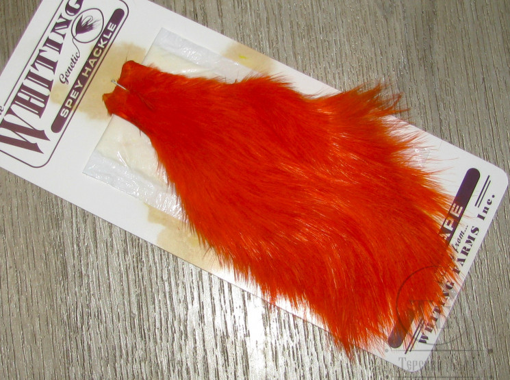 Скальп курицы СПЕЙ ( имитация цапли ) Spey Hen Cape Orange Whiting покраска Терский берег