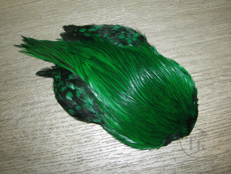 Скальп петуха indian Cape Badger Green Sm.