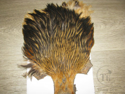 Скальп петуха Cock Cape Badger Lt. Brown