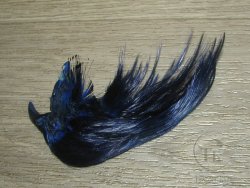 Золотой фазан хохолок Golden Pheasant Crest Only Blue