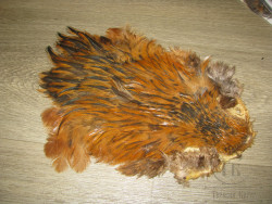 Перо курицы на коже Cape Dry / Wet # 3 gr. Badger Golden Brown ( распродажа П- 115 )
