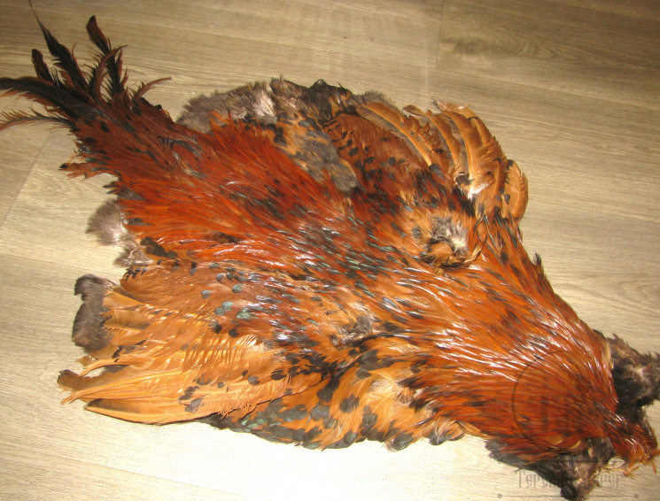 Шкура петуха с крыльями и хвостом Cock Skin Brown Black Barred ( скальп и седло коричневые , хвост коричневый баджер ) CS 8 / 24 