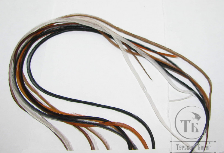 Перо Dry Fly (для сухих мух) 10 шт микс натуральных цветов  , крючки № 10 - 12 - 14