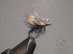 Mуха X Caddis (42)  Natural Black  Kumho № 14