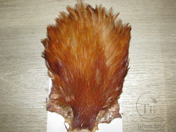 Скальп петуха Cock Cape Premium XXXL Golden Brown