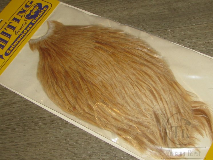 Скальп петуха  Whiting Salmonidae Rooster Cape Ginger