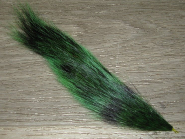 Часть хвоста белки Green