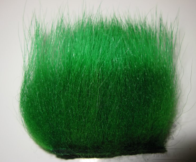 imi polar bear greenhighlander premium