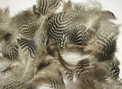 Перья чирка полосатые отборные мелкие Teal Barred Flank Natural Sm.