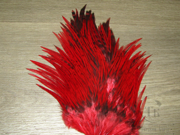 Седло петуха Indian saddle Red Barr.