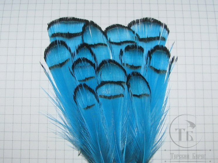 Перья шеи алмазного фазана Lady Amherst Tippet Feathers (12 fs) Silver Doc Blue
