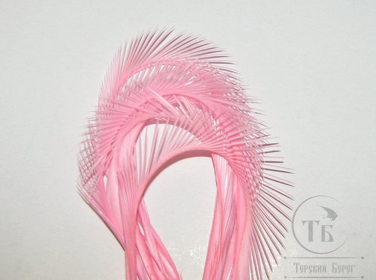 Перо гусиное биот 6 шт. / Goose Biot Fl. Pink Терский берег