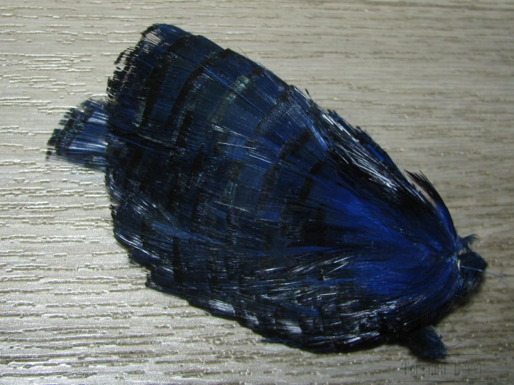 Золотой фазан  (шея) Golden Pheasant Tippet Section Blue