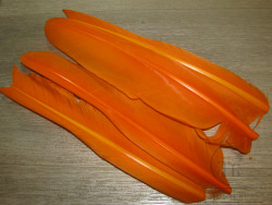 Перо лебедя Swan Quill Orange 2 пары SWQ