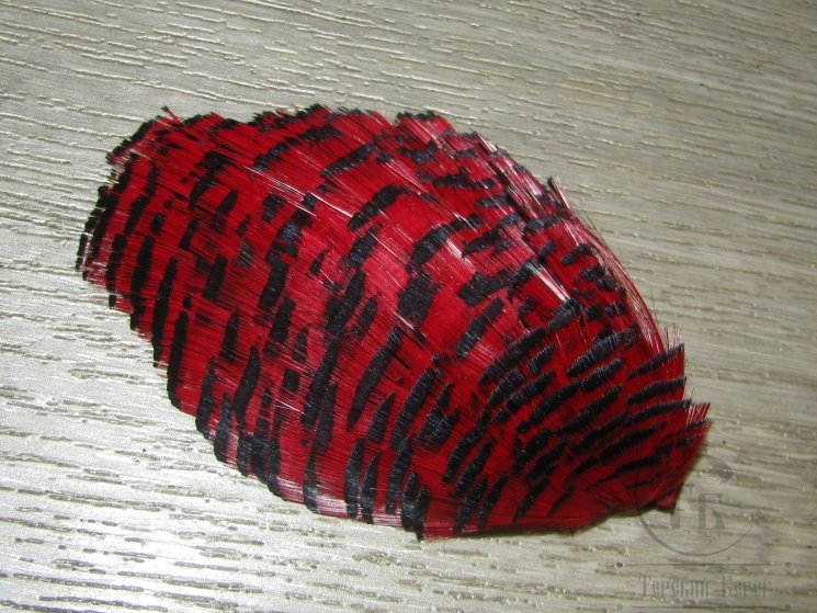 Золотой фазан  (шея) Golden Pheasant Tippet Section Red