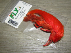 Золотой фазан хохолок Golden Pheasant Crest Only Orange Super Fly