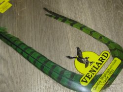 Центральные хвостовые перья охотничьего фазана (2 шт) Pheasant  Centre Tail Green  Veniard