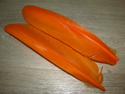 Перо лебедя Swan Quill Orange 1 пара SWQ 6