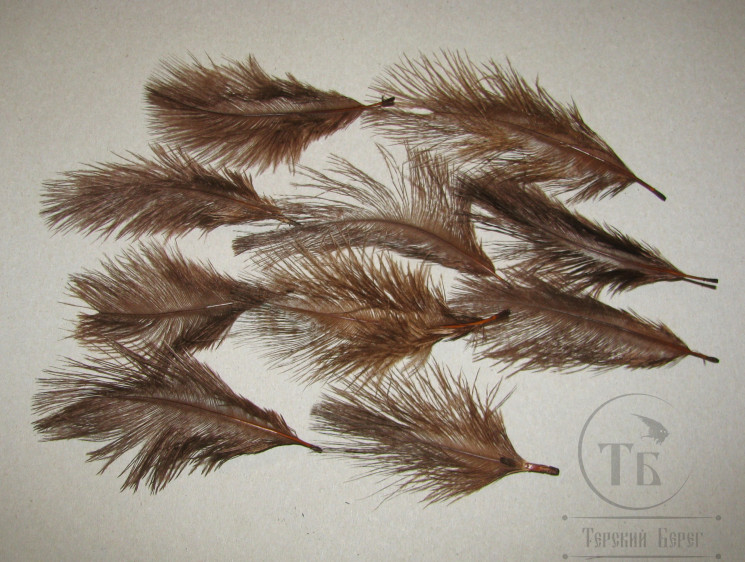 Мини страус Ostrich Marabou Brown 10 перьев