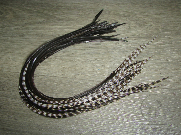 Перо из седла петуха отборное ( 1 шт ) Black Natural Grizzly Tips Variant ( 25 - 28 см )