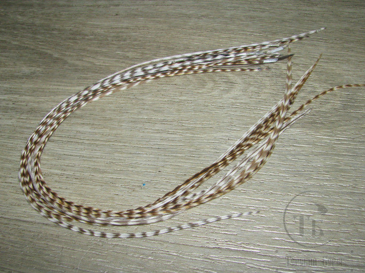 Перо Dry Fly (для сухих мух) 10 шт Grizzly Tan крючки № 14 - 16 - 18