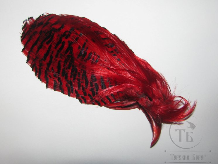 Золотой фазан комплект (шея, голова) Golden Pheasant Complete Head  Red