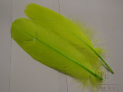 Перо лебедя Swan Shoulder Fl. Chartreuse б/у