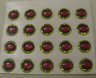Глазки Oval Pupil 3D Adheisve Eyes 1 / 4 ( 6,4 мм ) Chartreuse / Red ( 20шт )