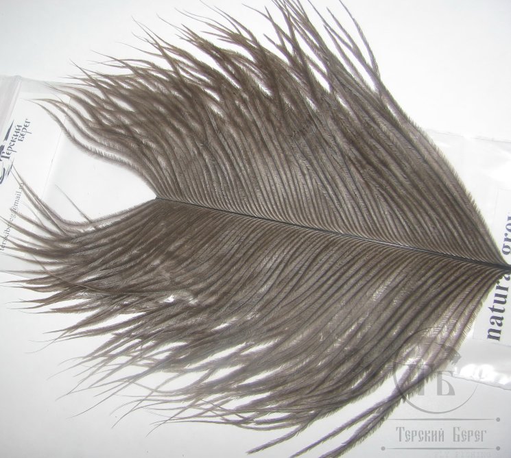 Часть крупного пера страуса Ostridge Herls Natural Grey Terskibereg