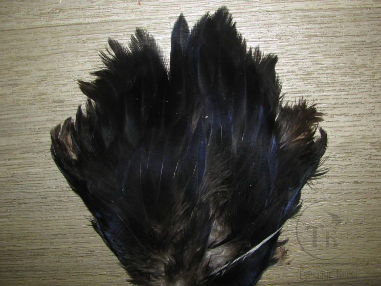 Перья серебряного фазана (на коже) Black Blue Iridiscent