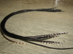 Перо из седла петуха отборное ( 1 шт ) Grizzly Dun Variant ( Dk Dun / Gr Dun Tips ) 25 - 30 cм.